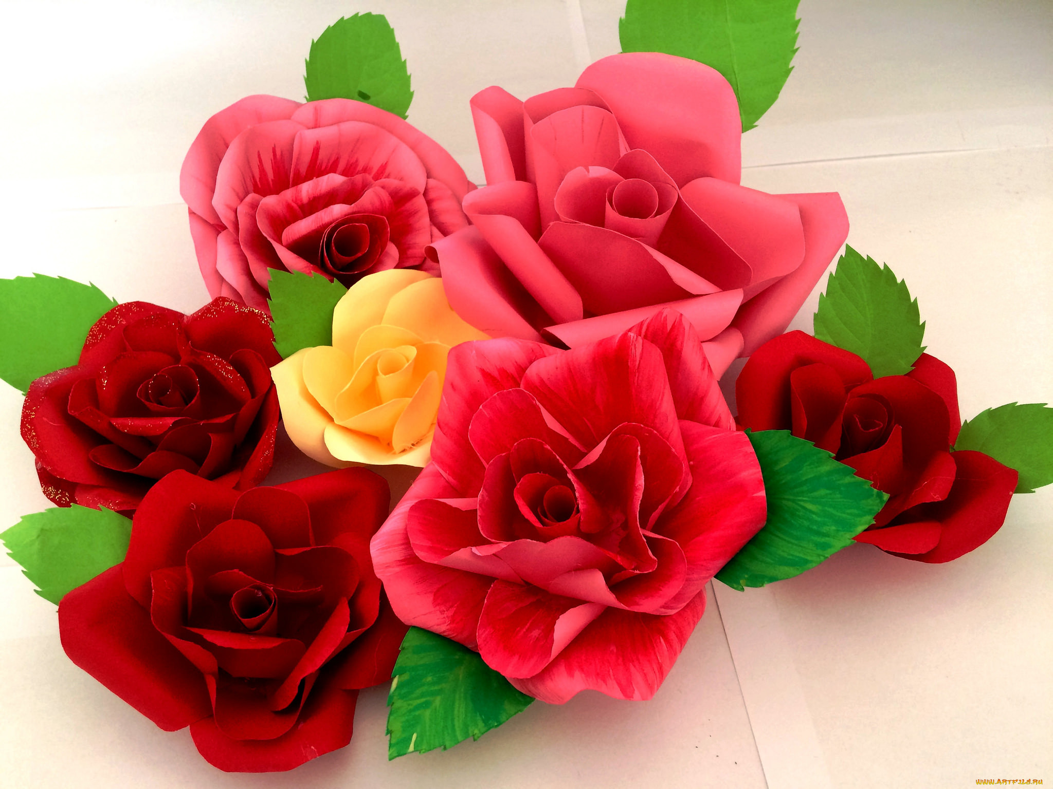 , ,  ,  , , , rose, bud, petals, leaves, blossoms, , , 